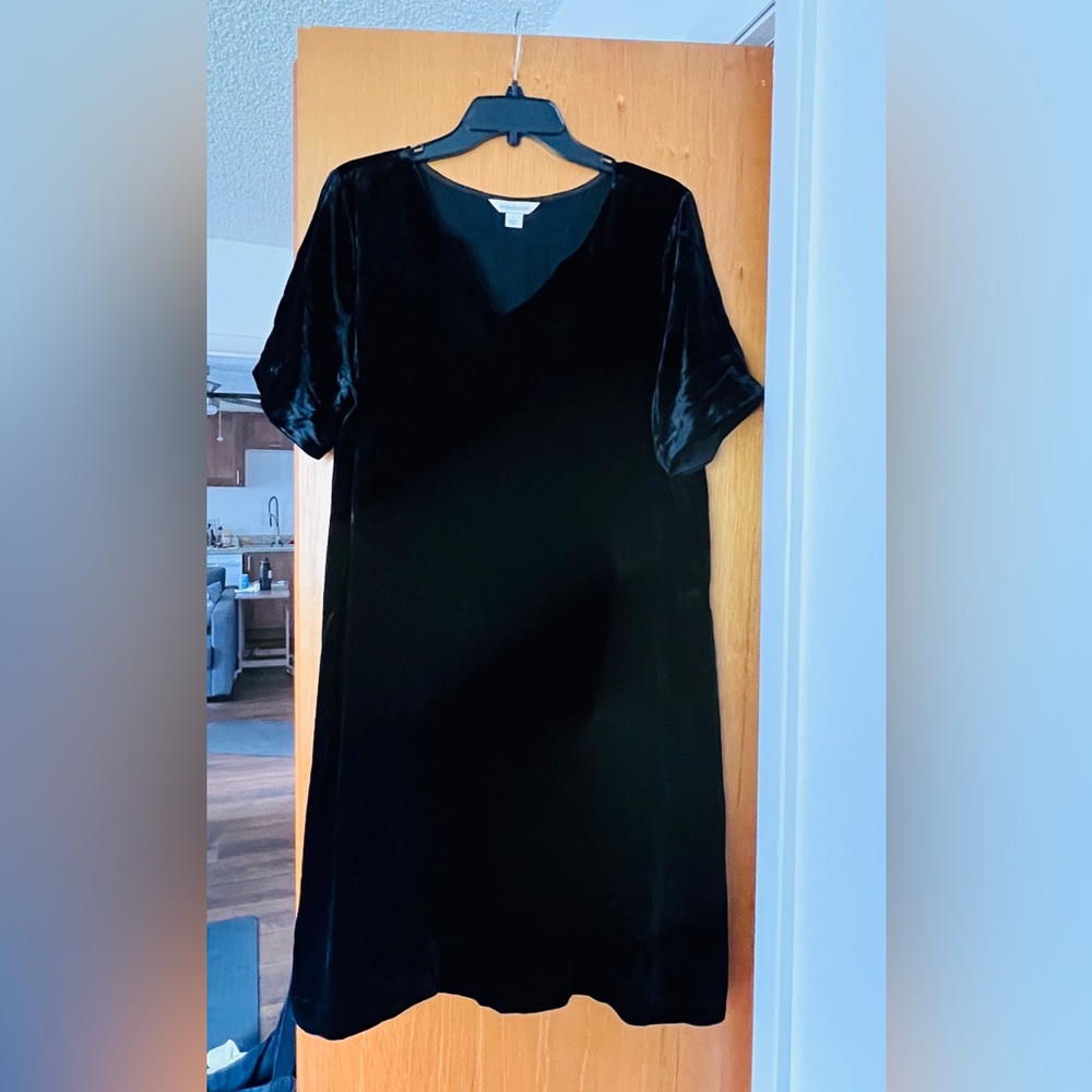 Black velvet dress